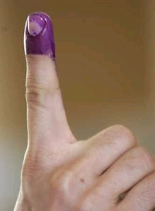 229650200_37b61d9929