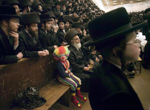 Jewish Jester
