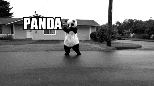 Panda... Panda... Panda... Car.